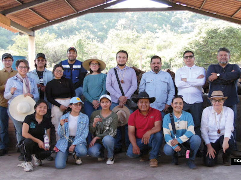 Con estrategias biotecnológicas, investigadores BUAP buscan fortalecer la producción de agave mezcalero en Puebla