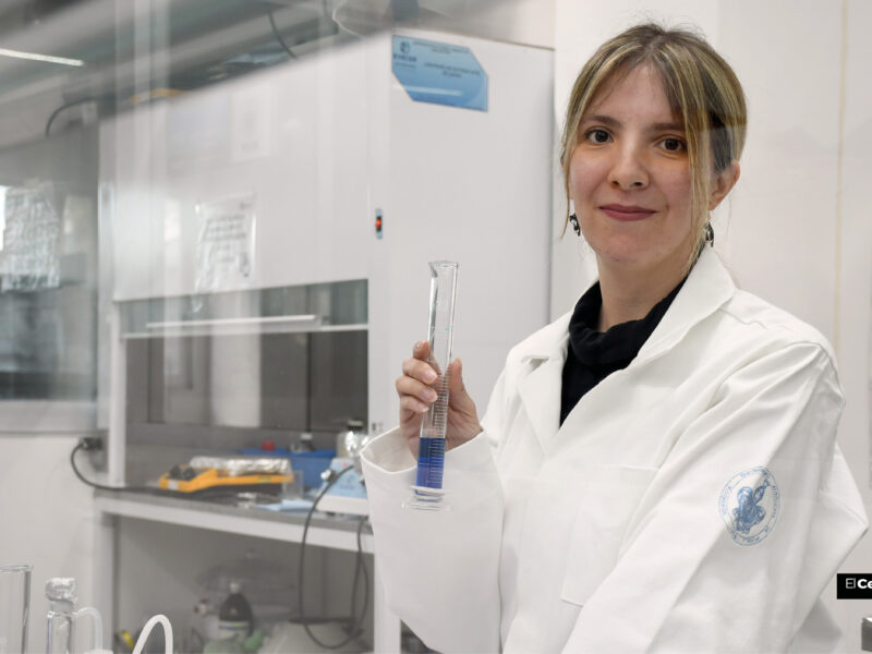Investigación de Daphnia magna o pulga de agua.