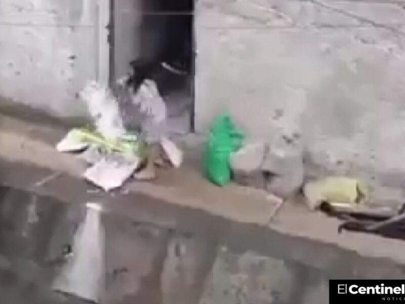 Mujer tira basua al Río Hondo en Naucalpan y causa indignación en redes