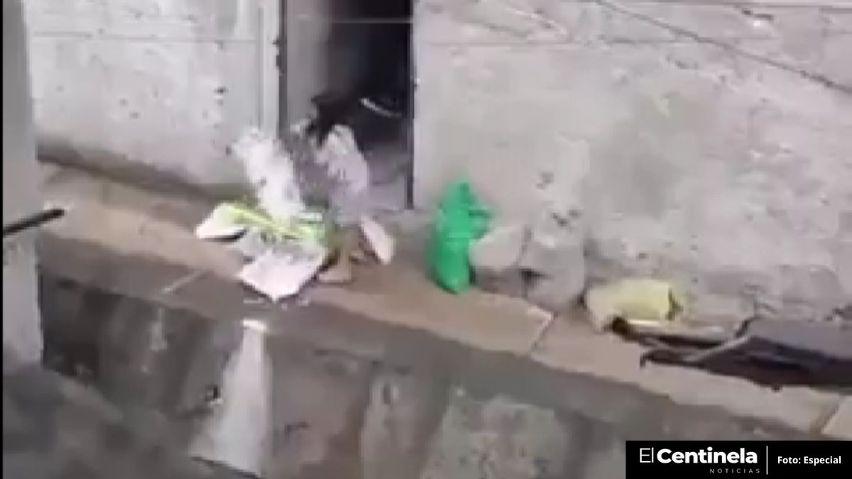 Mujer tira basua al Río Hondo en Naucalpan y causa indignación en redes