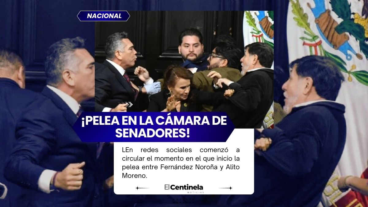 ¡Pelea en la Cámara de Senadores! Fernández Noroña y Alito Moreno llegan a los golpes en medio de sesión
