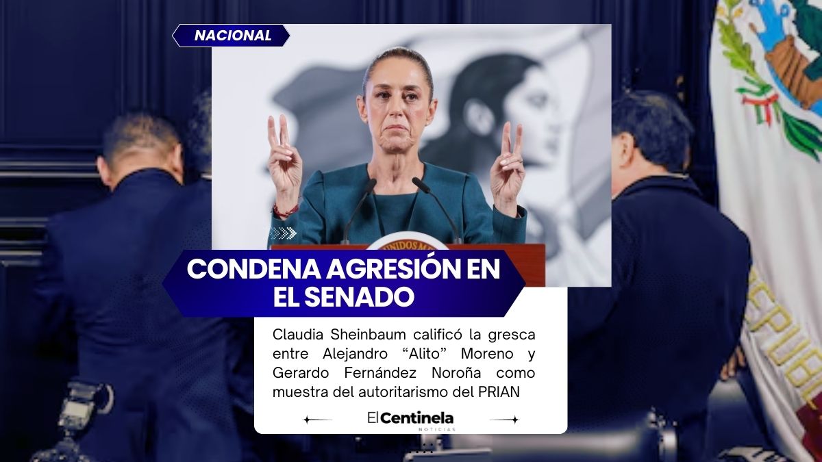 Sheinbaum sobre golpiza entre “Alito” y Noroña: “Muestra lo que es el PRIAN”