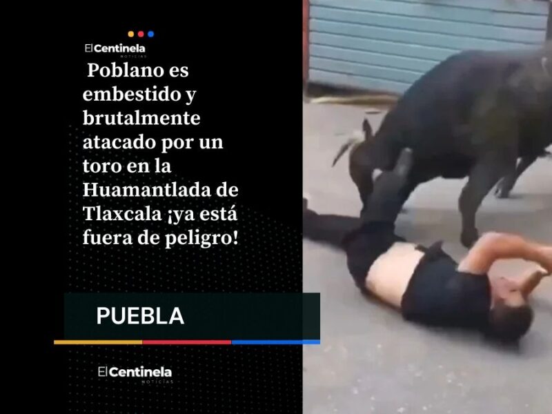 Poblano embestido por toro en Huamantlada de Tlaxcala está fuera de peligro