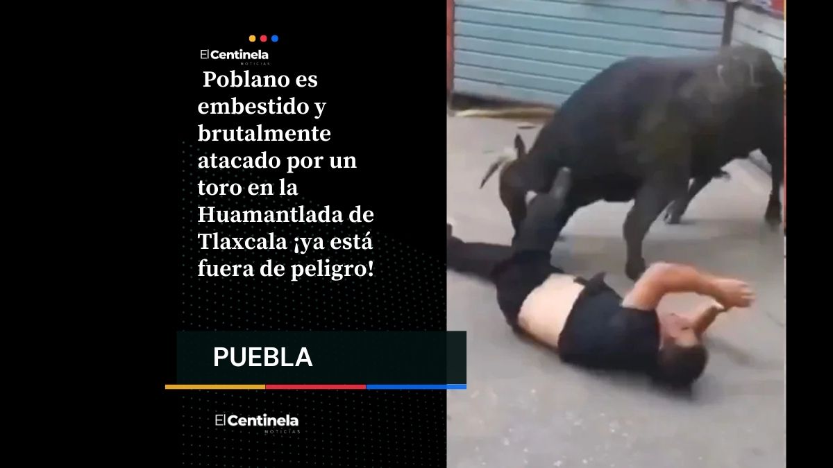 Poblano embestido por toro en Huamantlada de Tlaxcala está fuera de peligro