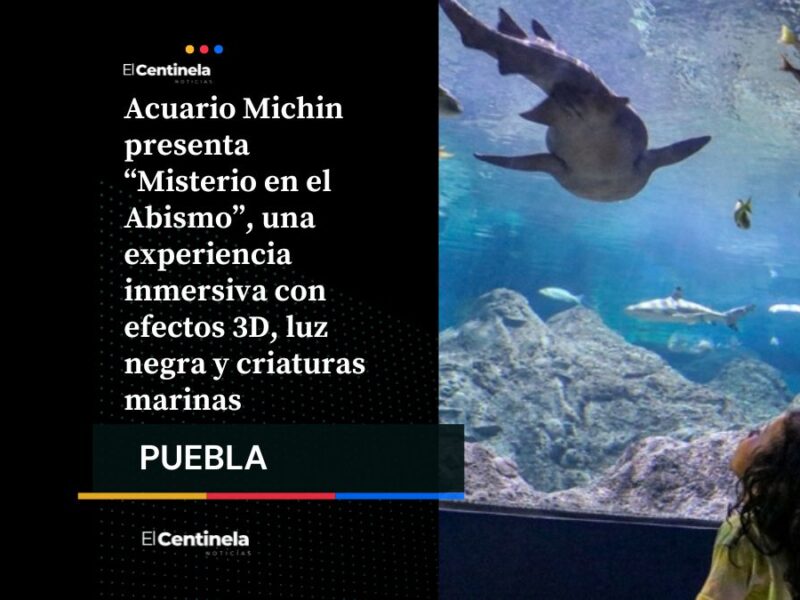¡Miedo al agua! Acuario Michin presenta "Misterio en el Abismo", su nueva experiencia inmersiva