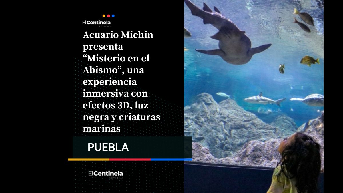 ¡Miedo al agua! Acuario Michin presenta "Misterio en el Abismo", su nueva experiencia inmersiva
