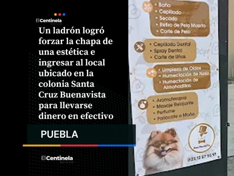 Ladrón solitario se lleva 10 mil pesos de estética “Don Perriñon” en Santa Cruz Buenavista