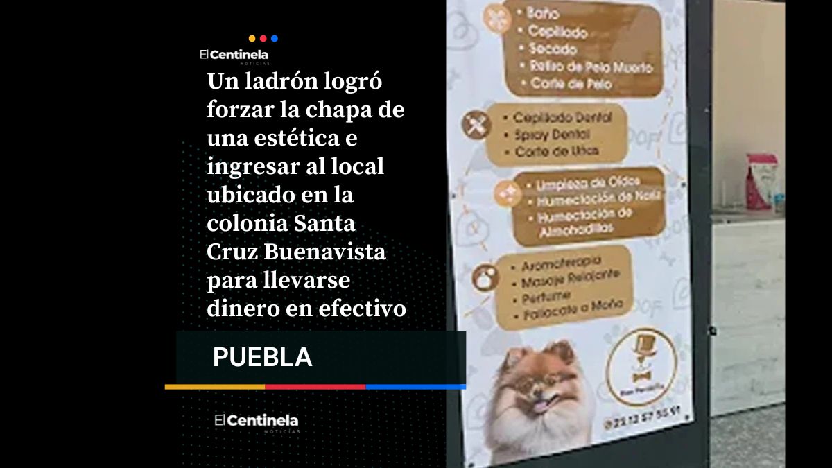 Ladrón solitario se lleva 10 mil pesos de estética “Don Perriñon” en Santa Cruz Buenavista