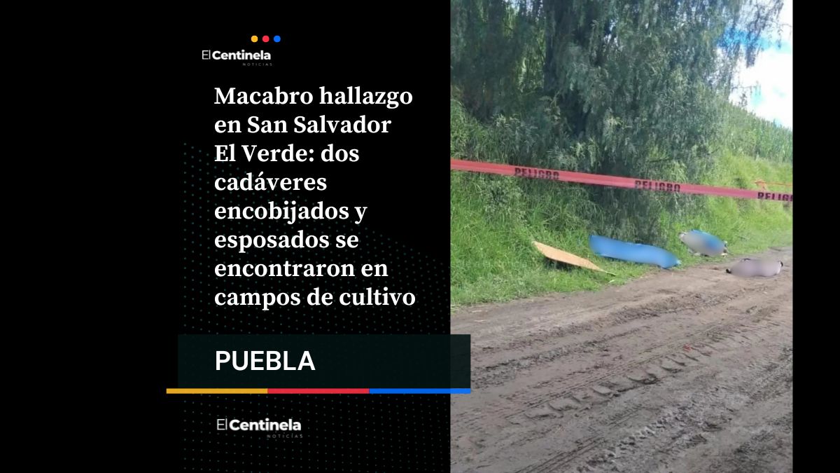 Hallan dos cadáveres encobijados y esposados en San Salvador El Verde