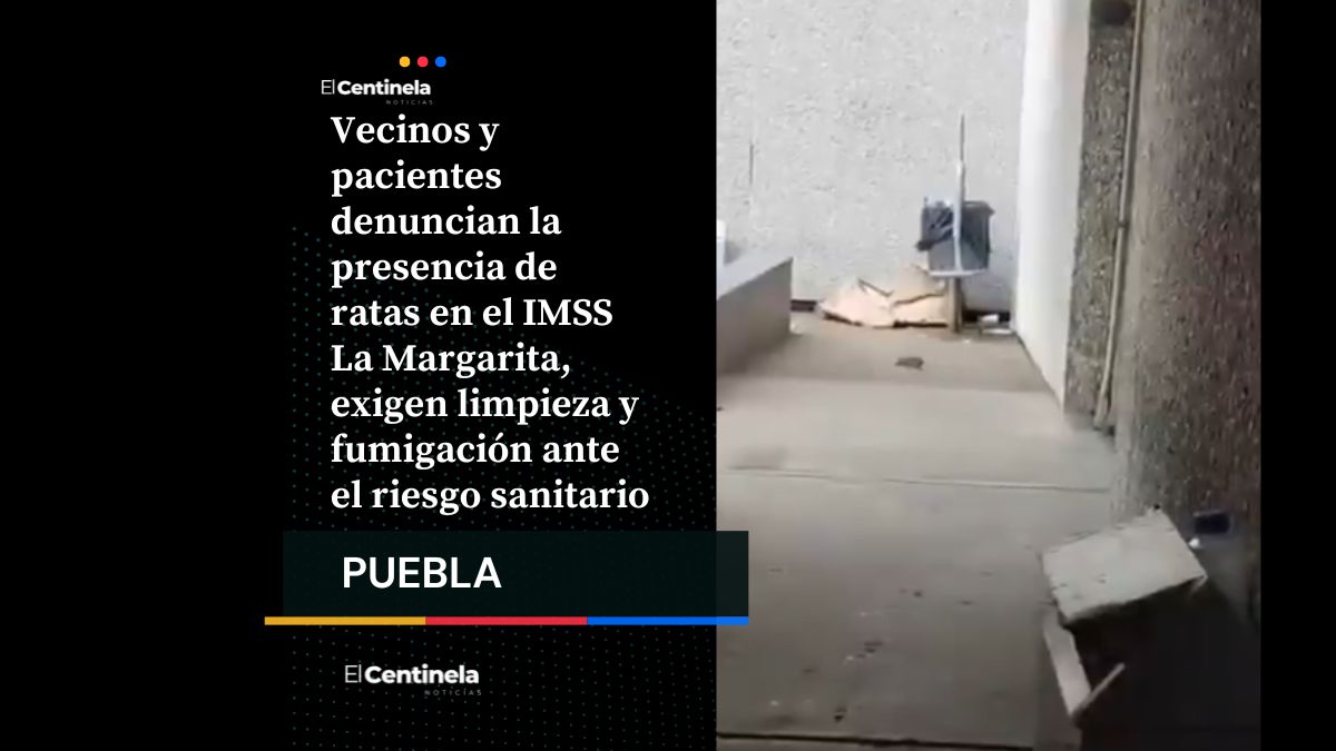 Indignación en Puebla: ratas invaden el IMSS La Margarita, exigen intervención