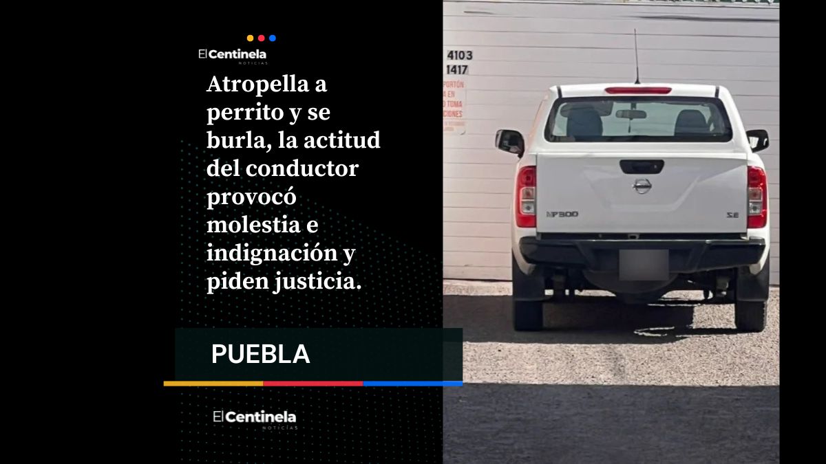 Un hombre atropelló a un perrito en el Antiguo Camino Real a Cholula, justo frente a la Universidad Madero (UMAD)