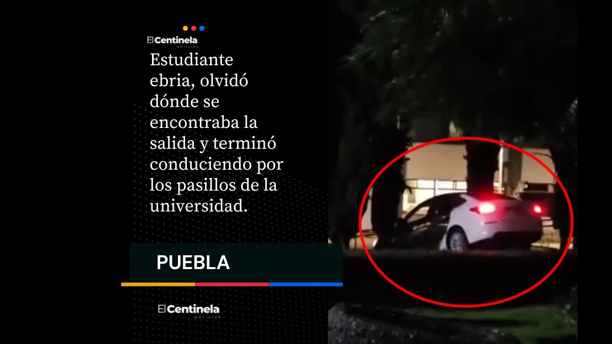 Estudiante se pasea ebria por los pasillos de la UTP y termina entre los árboles