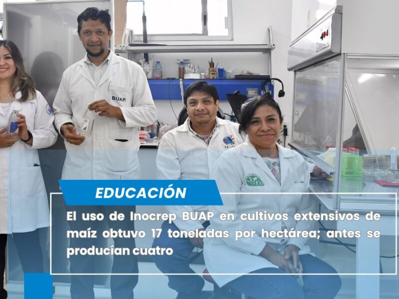 Conoce Inocrep BUAP, la solución biotecnológica para una agricultura sustentable
