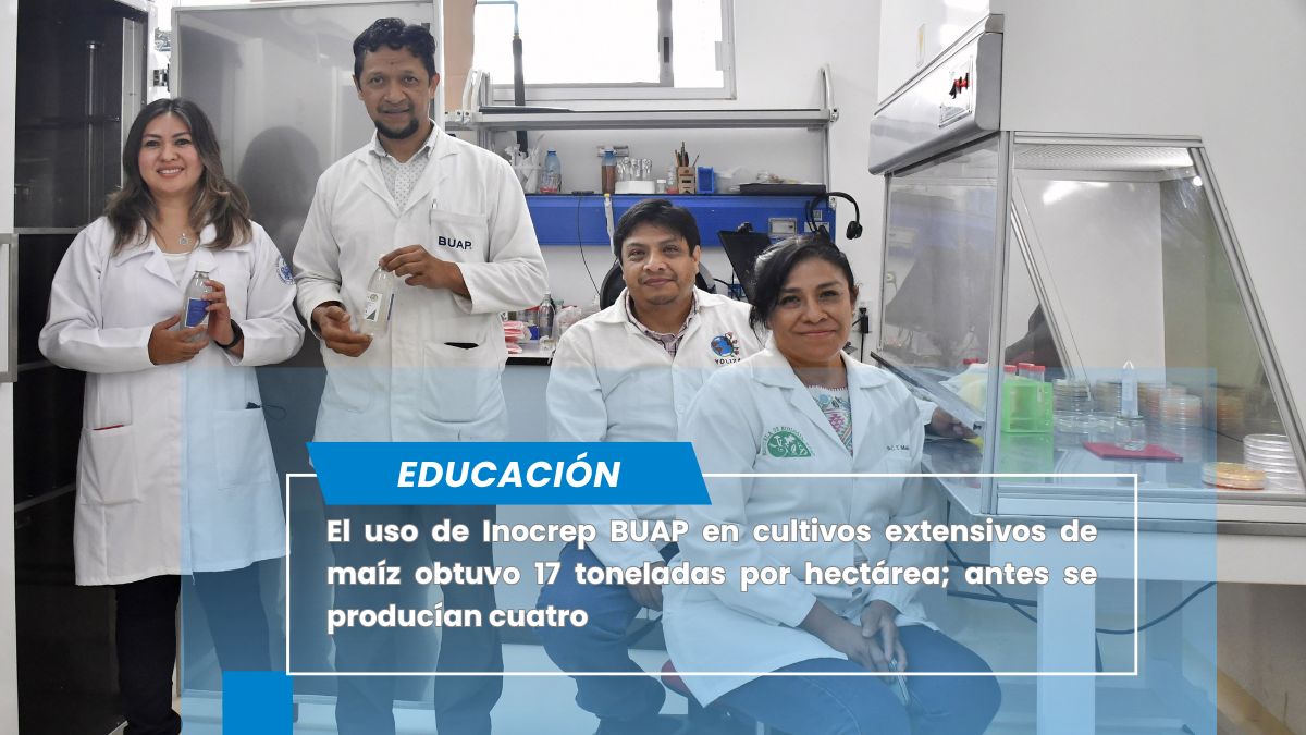 Conoce Inocrep BUAP, la solución biotecnológica para una agricultura sustentable