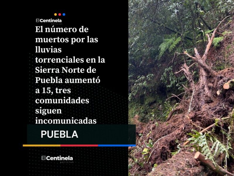 Tragedia en la Sierra Norte: aumenta a 15 el número de muertos, seis personas siguen desaparecidas