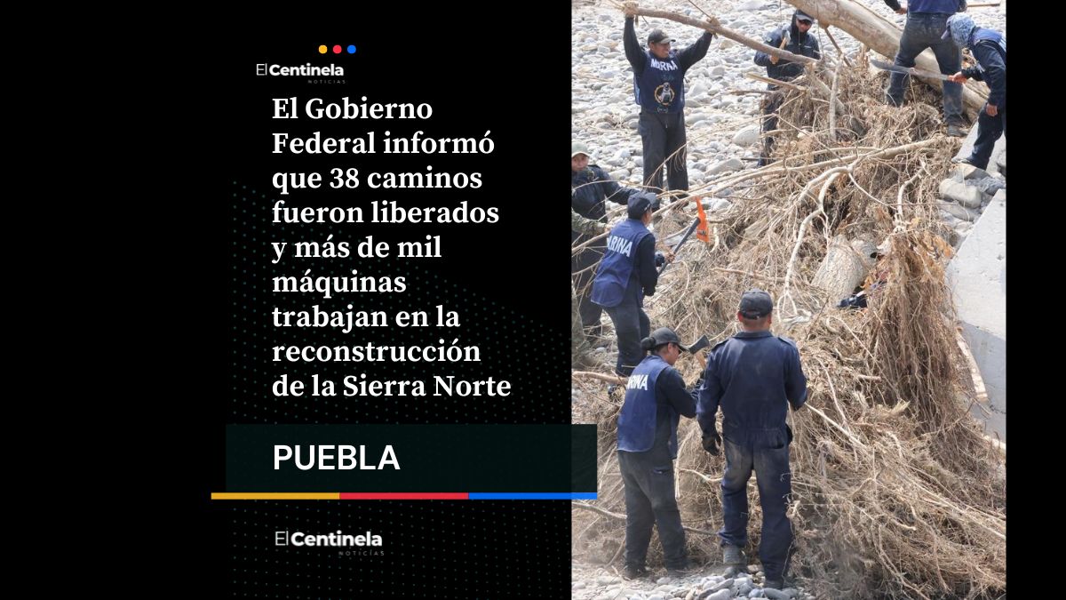 Avanza reconstrucción en la Sierra Norte, liberan 38 caminos y restablecen servicios