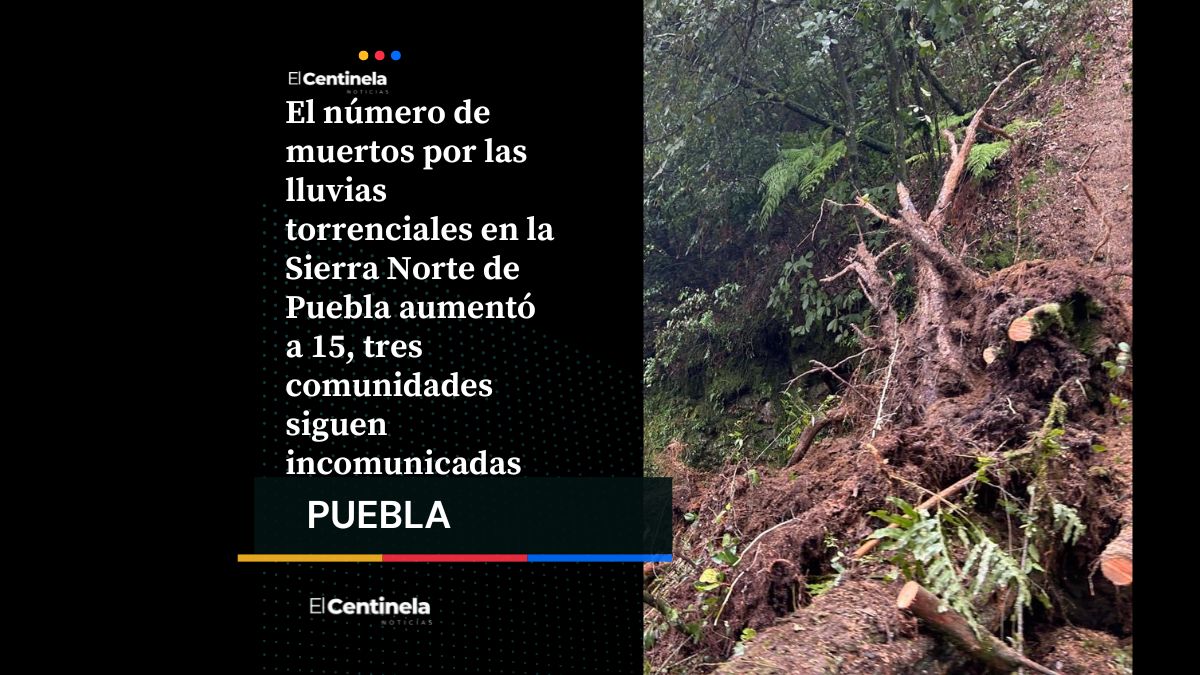 Tragedia en la Sierra Norte: aumenta a 15 el número de muertos, seis personas siguen desaparecidas