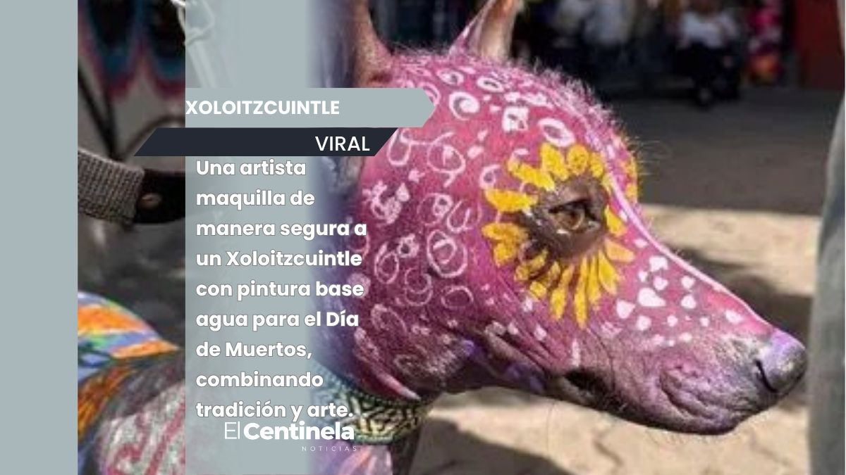 Maquillan a un Xoloitzcuintle para celebrar el Día de Muertos, volviéndose viral en redes sociales