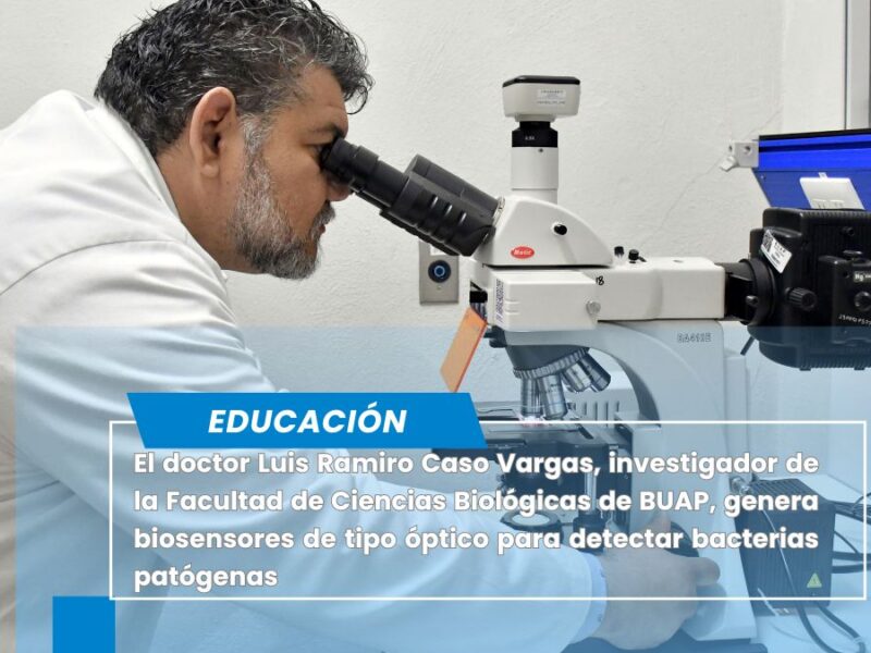 Doctores de BUAP desarrollan biosensores para detectar bacterias patógenas y toxinas