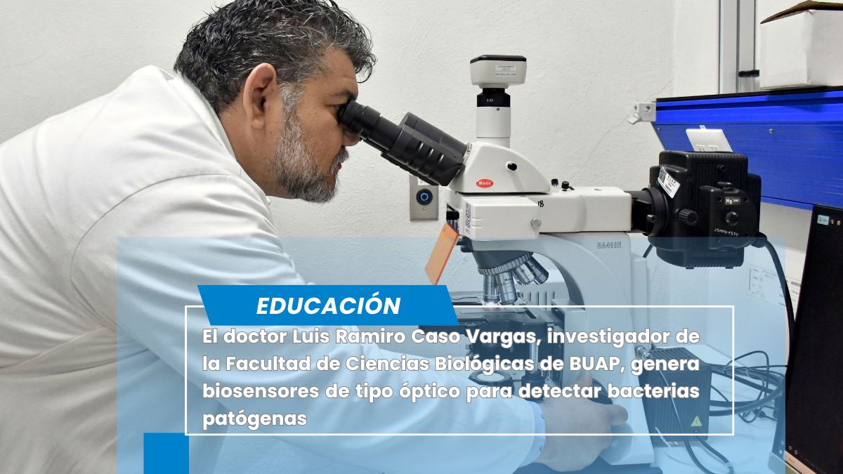 Doctores de BUAP desarrollan biosensores para detectar bacterias patógenas y toxinas