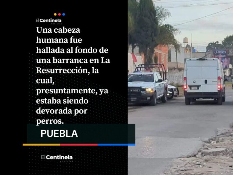 Hallan cabeza humana en La Resurrección; estaría relacionada con restos hallados días antes