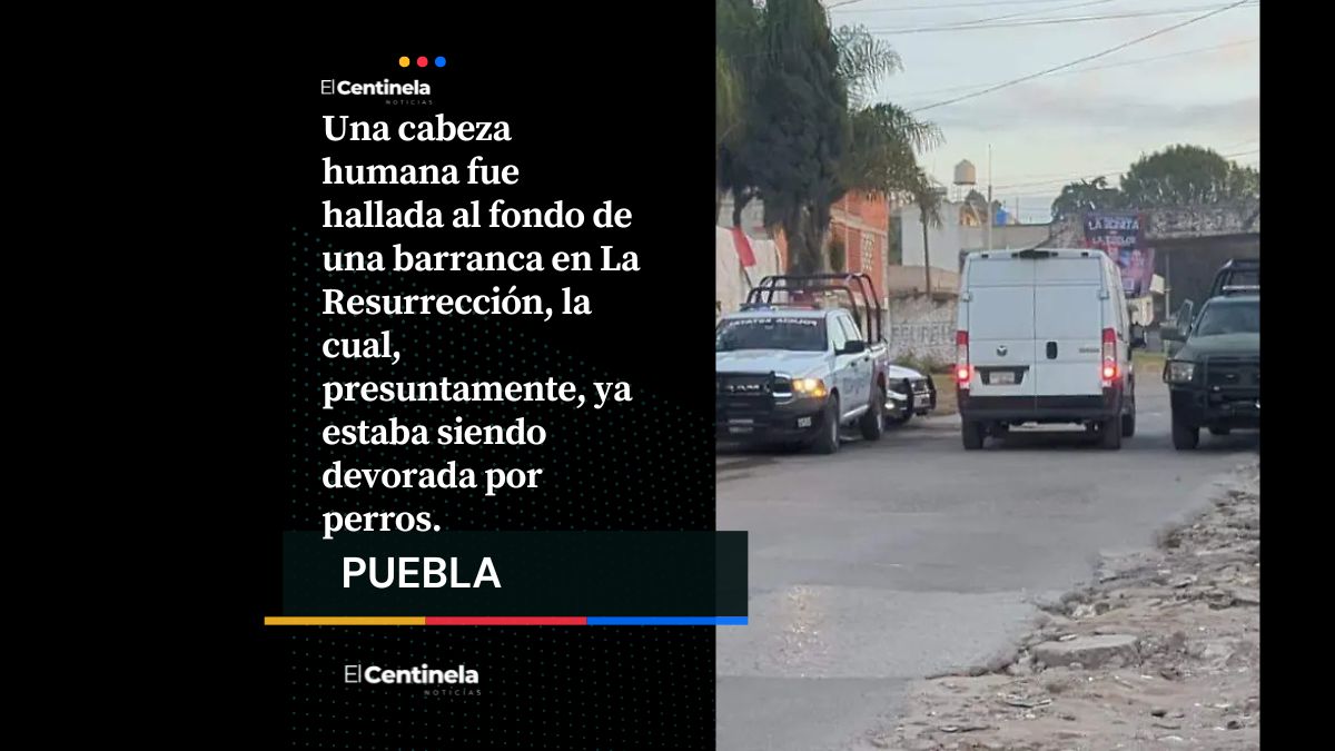 Hallan cabeza humana en La Resurrección; estaría relacionada con restos hallados días antes