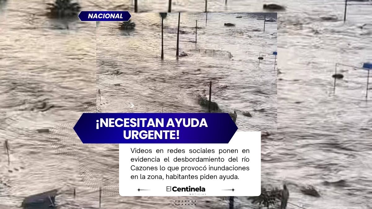 Claman por ayuda en Poza Rica por inundaciones: videos muestran a personas arrastradas por el agua