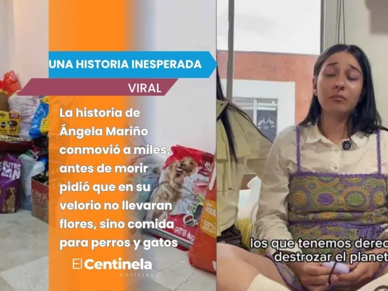 Joven veterinaria con cáncer terminal conmueve al pedir comida para animalitos en lugar de flores para su velorio