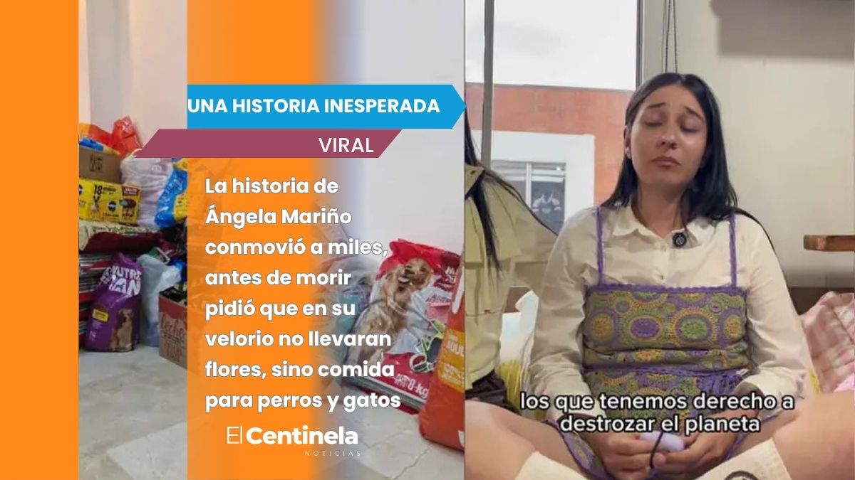 Joven veterinaria con cáncer terminal conmueve al pedir comida para animalitos en lugar de flores para su velorio