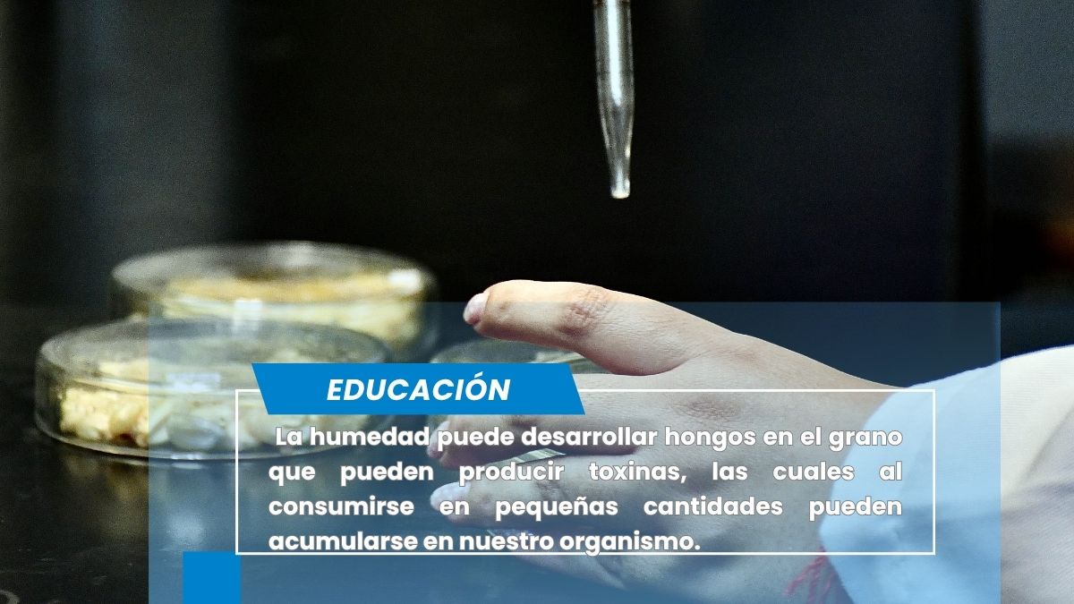 En la BUAP se estudian antimicrobianos de origen natural