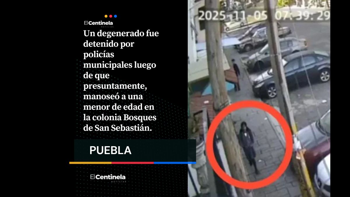 Degenerado manosea e intenta llevarse a niña en Bosques de San Sebastián