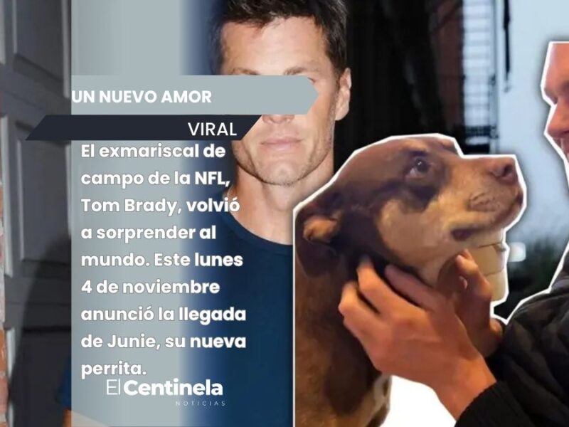 Tom Brady sorprende al revelar que su perrita Junie es un clon de Lua, su mascota fallecida