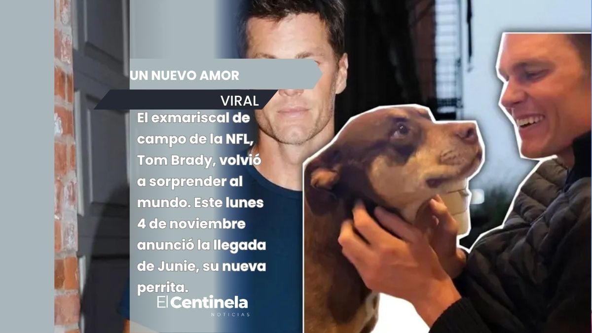 Tom Brady sorprende al revelar que su perrita Junie es un clon de Lua, su mascota fallecida