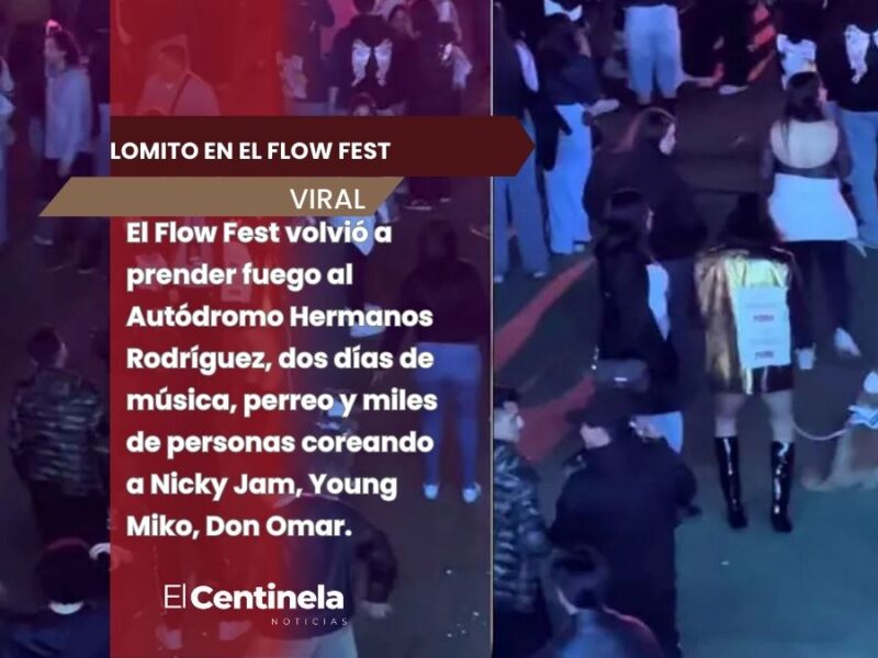¿Un lomito en el Flow Fest? Influencer desata polémica por llevar a su perro a un festival lleno de ruido