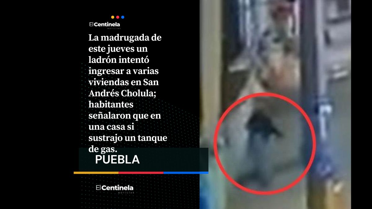 VIDEO: Captan a ladrón intentando meterse a viviendas en San Andrés Cholula