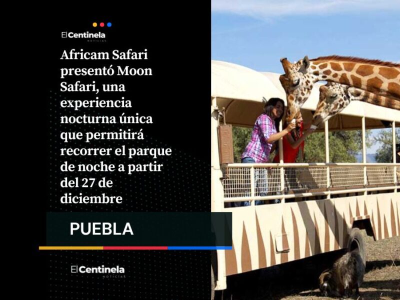 Africam Safari lanza Moon Safari: recorridos para disfrutar de la fauna bajo la luz de la luna