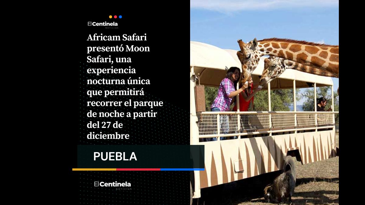 Africam Safari lanza Moon Safari: recorridos para disfrutar de la fauna bajo la luz de la luna