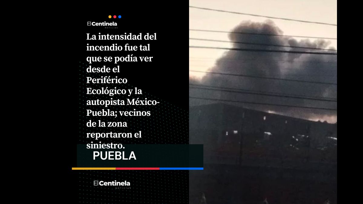 Incendio devora recicladora en Misiones de San Francisco
