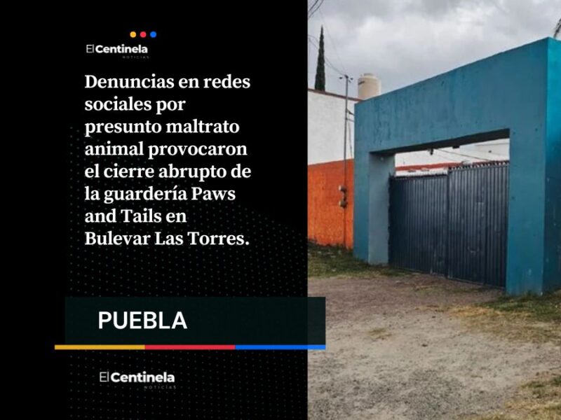 Cierran la guardería canina donde torturaban a perritos adoptados y borran huellas del negocio Paw and Tails