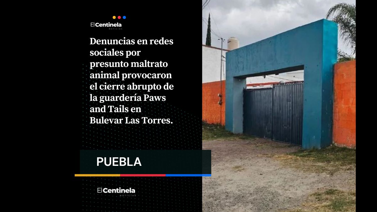 Cierran la guardería canina donde torturaban a perritos adoptados y borran huellas del negocio Paw and Tails