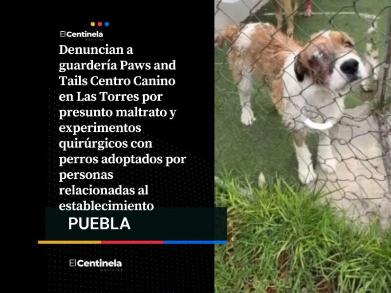 Tortura animal en Paws and Tails Centro Canino de Las Torres desata indignación en redes