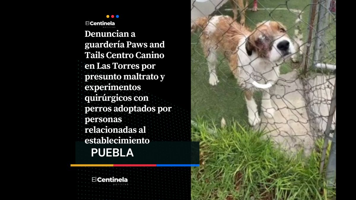 Tortura animal en Paws and Tails Centro Canino de Las Torres desata indignación en redes