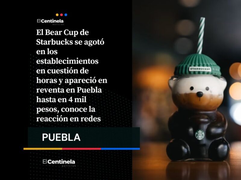Bear Cup en Puebla: revendedores lo ofrecen hasta en 4 mil pesos tras agotarse en Starbucks
