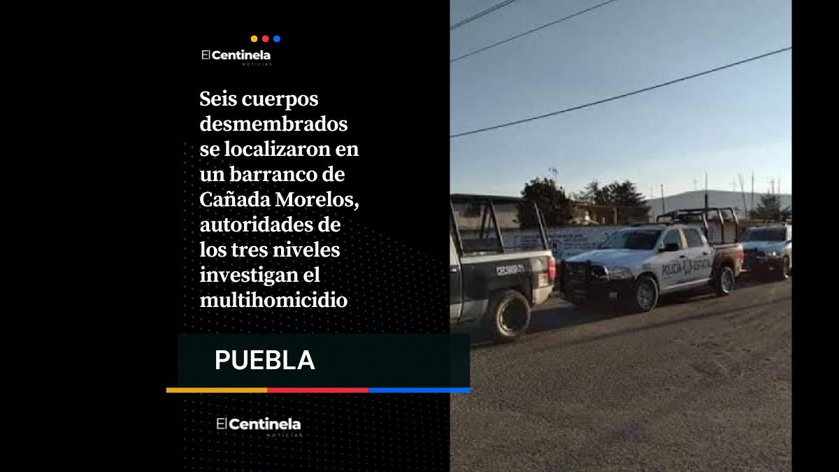Hallan seis cuerpos desmembrados en barranco de Cañada Morelos