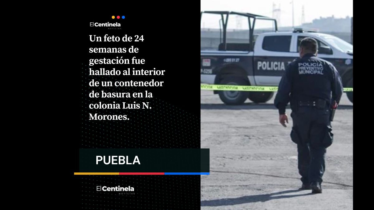 Aterrador hallazgo: vecino encuentra feto en contenedor de basura de la Luis N. Morones