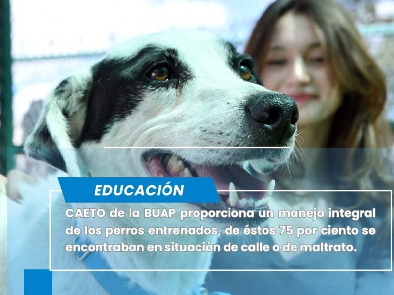CAETO, un espacio que preserva el bienestar de sus coterapeutas caninos