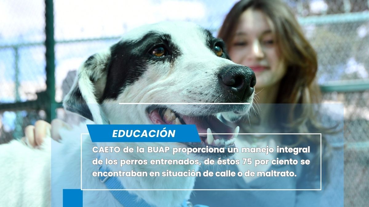 CAETO, un espacio que preserva el bienestar de sus coterapeutas caninos