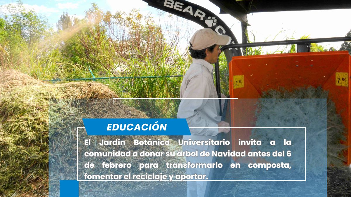 Colecta BUAP árboles de Navidad para elaboración de composta