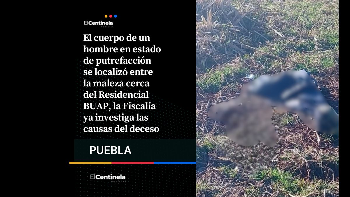 Hallan cadáver en estado de descomposición cerca del Residencial BUAP