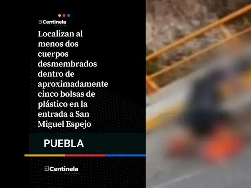 Hallan al menos dos cuerpos desmembrados en bolsas de plástico en San Miguel Espejo